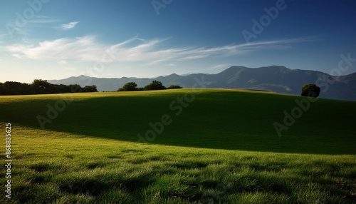 grass field isolated