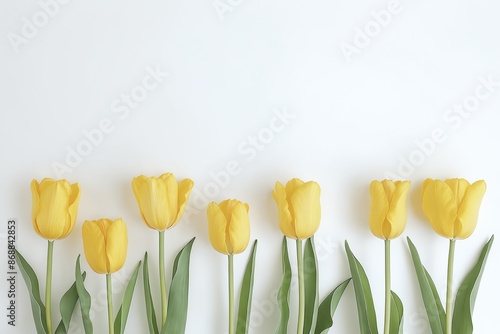 Beautiful Composition of Yellow Tulips on White Background