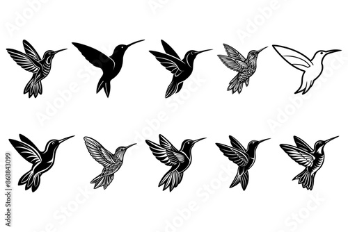Hummingbird silhouette Vector Art Illustration, CNC, Wood, Vinyl, Cricut, Laser engraving File