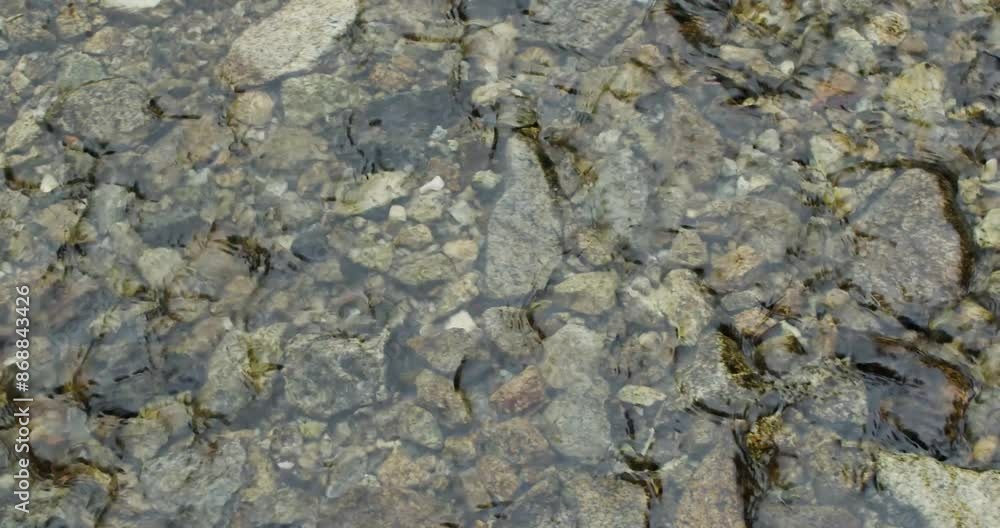 wild rivers, slow, motion, flowing water, bright, water, riverside, mountain, clear water, dramatic nature, day, wild rivers, slow, motion, flowing water, bright, water, riverside, mountain, clear water, dramatic nature, day,