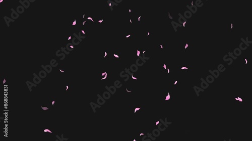 Loop Flying Sakura on Transparent Background. Blossom. Cherry. Alpha Channel