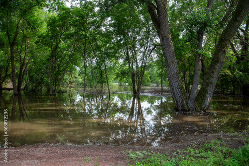 Flooded Creek and Green Trees Near Environmental Center in Windom Minnesota, June 2024 Historic Flood photo