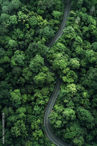 Serene Path: Aerial View of Tranquil Forest Road Converging Nature with Contemporary Infrastructure