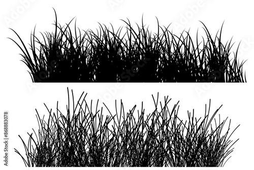 Wallpaper Mural grass silhouette vector. grass border illustration Torontodigital.ca