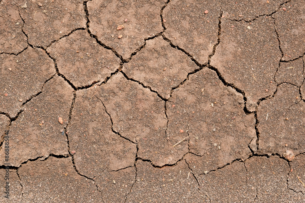 Fototapeta premium Wall texture soil dry crack pattern of drought lack of water of nature brown old broken background.