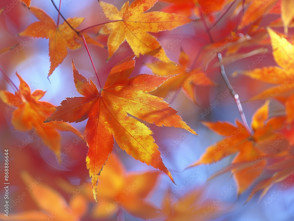 Maple Leaves Swirling in the Breeze: Rich Autumn Colors in Motion Maple Leaves Swirling in the Breeze: Rich Autumn Colors in Motion