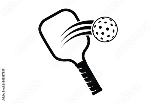 pickleball paddle hit the ball