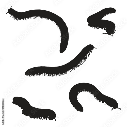 Millipede Silhouette Vector Illustration Bundle