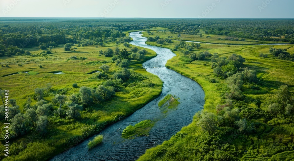 Aerial View of a Winding River Flowing Through Lush Green Forest on a Sunny Summer Day Aerial View of a Winding River Flowing Through Lush Green Forest on a Sunny Summer Day