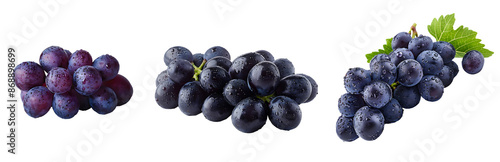 Wallpaper Mural Three bunches of grapes with water droplets Torontodigital.ca