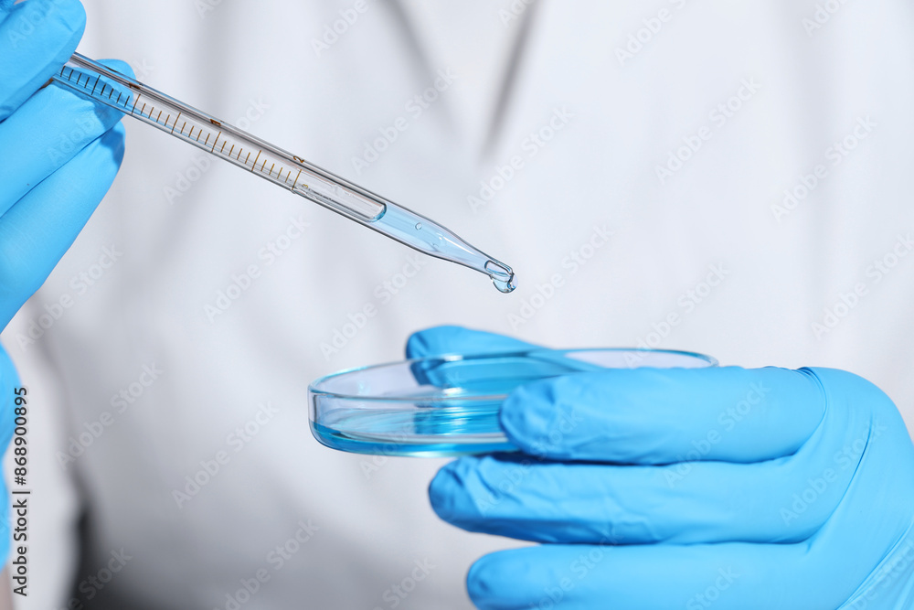 Scientist dripping liquid from pipette into petri dish, closeup Scientist dripping liquid from pipette into petri dish, closeup