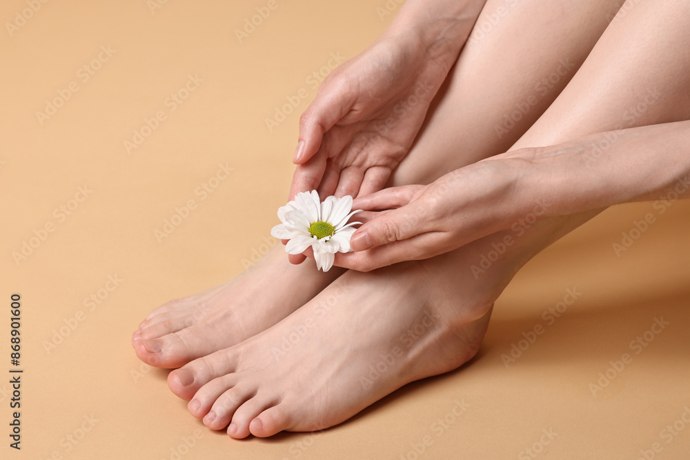 Closeup view of woman`s groomed feet after care procedure and beautiful flower on beige background Closeup view of woman`s groomed feet after care procedure and beautiful flower on beige background