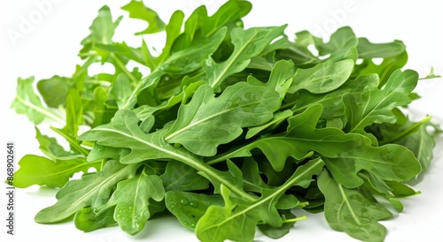Fresh Green Arugula Leaves on White Background