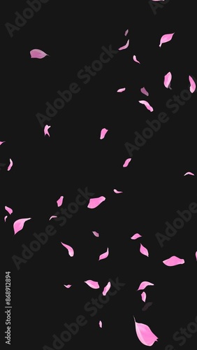 Loop Flying Sakura on Transparent Background. Blossom. Cherry. Alpha Channel