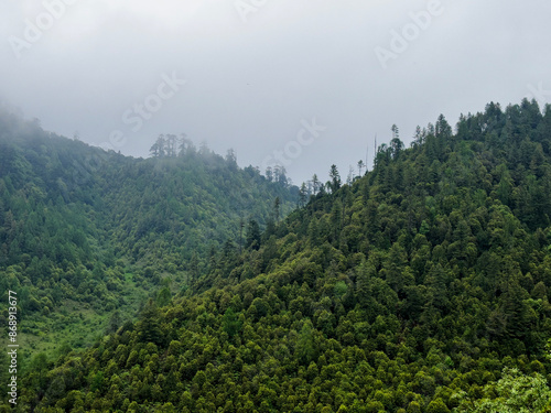 Landscape in the mountains of Bhutan