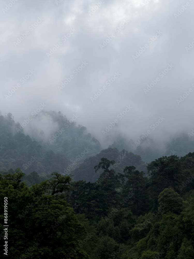 Mountains, trees and mist in the mountains of Bhutan Mountains, trees and mist in the mountains of Bhutan