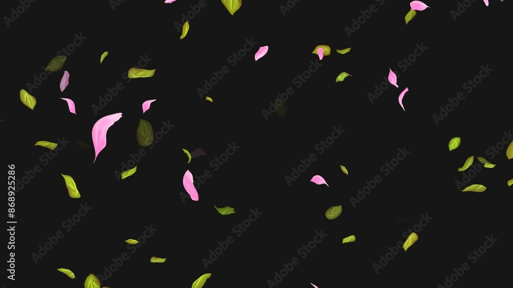 Loop Flying petals and leaves on Transparent Background. Alpha Channel. Matte Loop Flying petals and leaves on Transparent Background. Alpha Channel. Matte
