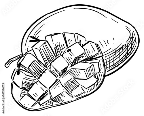 mango handdrawn illustration