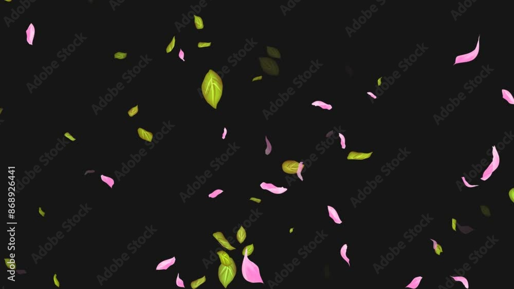 Loop Flying petals and leaves on Transparent Background. Alpha Channel. Matte Loop Flying petals and leaves on Transparent Background. Alpha Channel. Matte