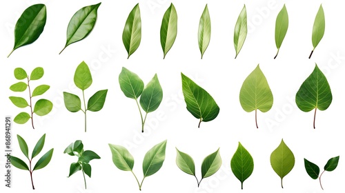 Set of green leaves isolated on white background. Generative Ai
