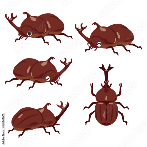 オスのカブトムシセット