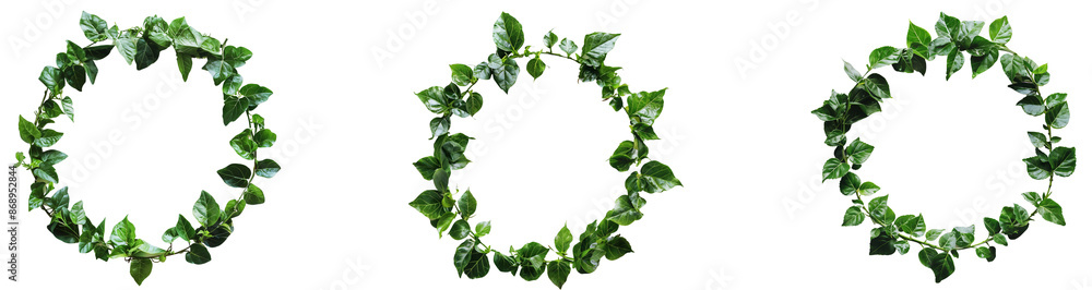 Set of floral round frames with green leaves, Tropical wreaths, isolated on transparent background Set of floral round frames with green leaves, Tropical wreaths, isolated on transparent background