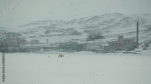 A mother Polar Bear and her Cub walk across an icy landscape in Svalbard. In the background, you can see what remains of the old soviet mining industry. Footage was captured on the Sony A6700. photo