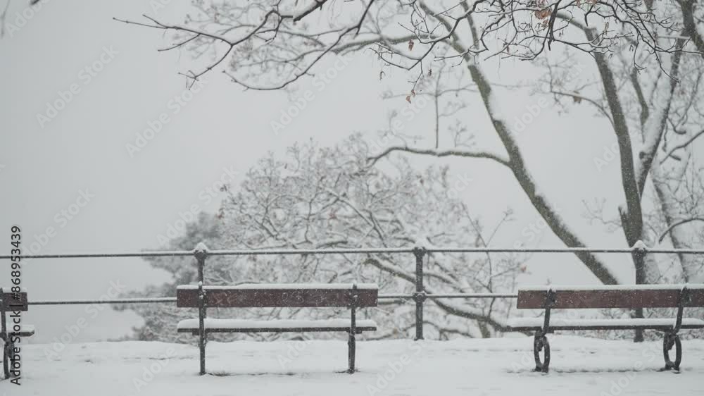 The light first snow covers benches, trees, ground, and railing on the viewing platform in the park. The light first snow covers benches, trees, ground, and railing on the viewing platform in the park.