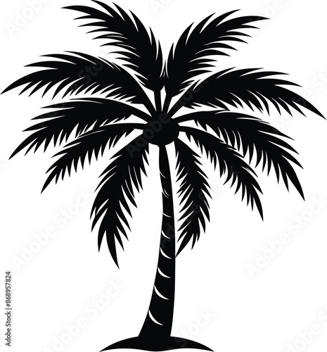 Collection of a black palm trees shapes, silhouettes of an exotic plants. Vector illustration isolated on white background