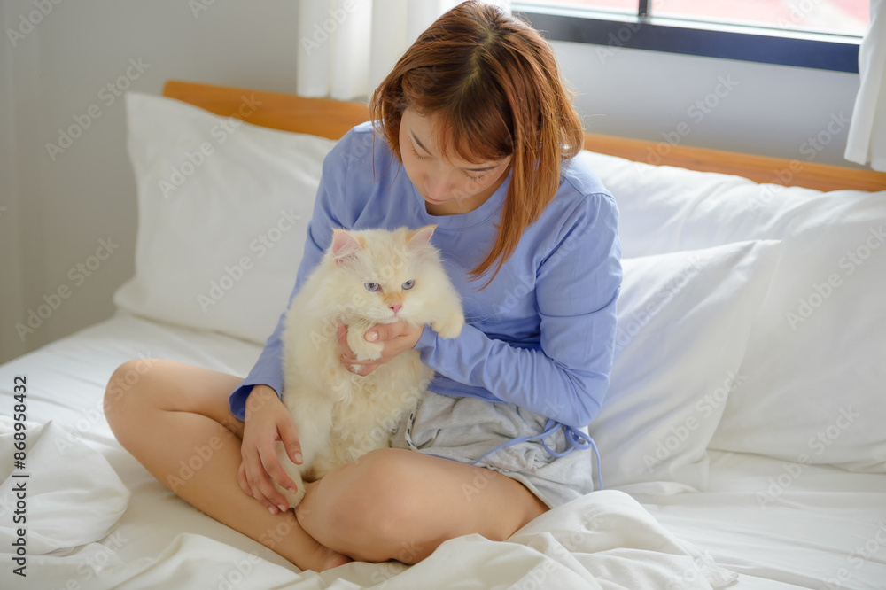 girl and Persian cat girl and Persian cat