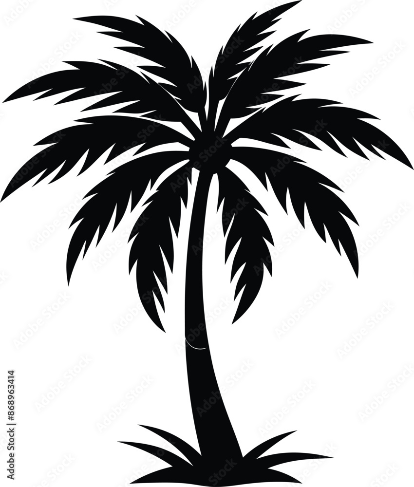 Obraz premium Collection of a black palm trees shapes, silhouettes of an exotic plants. Vector illustration isolated on white background