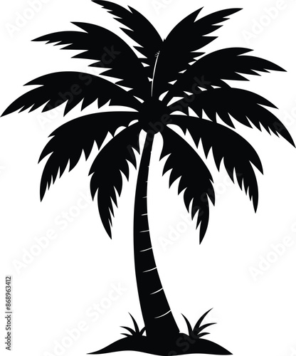 Collection of a black palm trees shapes, silhouettes of an exotic plants. Vector illustration isolated on white background