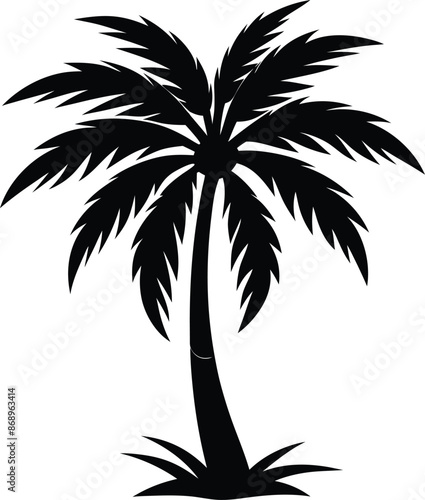 Collection of a black palm trees shapes, silhouettes of an exotic plants. Vector illustration isolated on white background