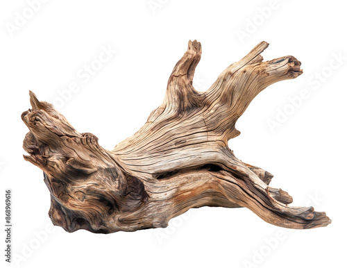 Dried dead tree trunk. Weathered driftwood cut out © Molin