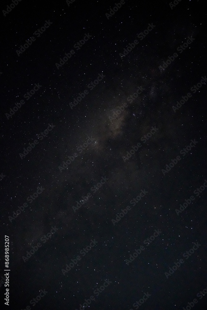 Fototapeta premium starry night sky