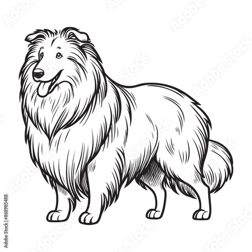 Line art of Collie dog cartoon vector