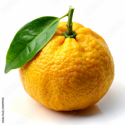 Yuzu fruit isolated on white background.