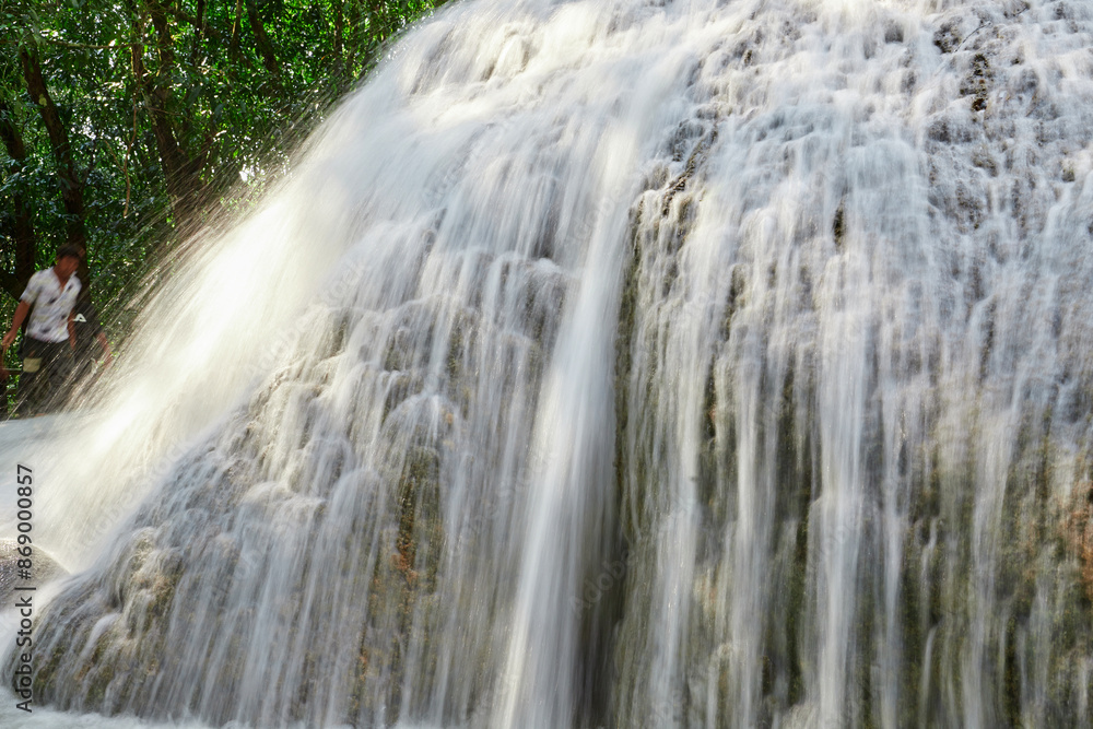 Obraz premium Waterfall in the forest