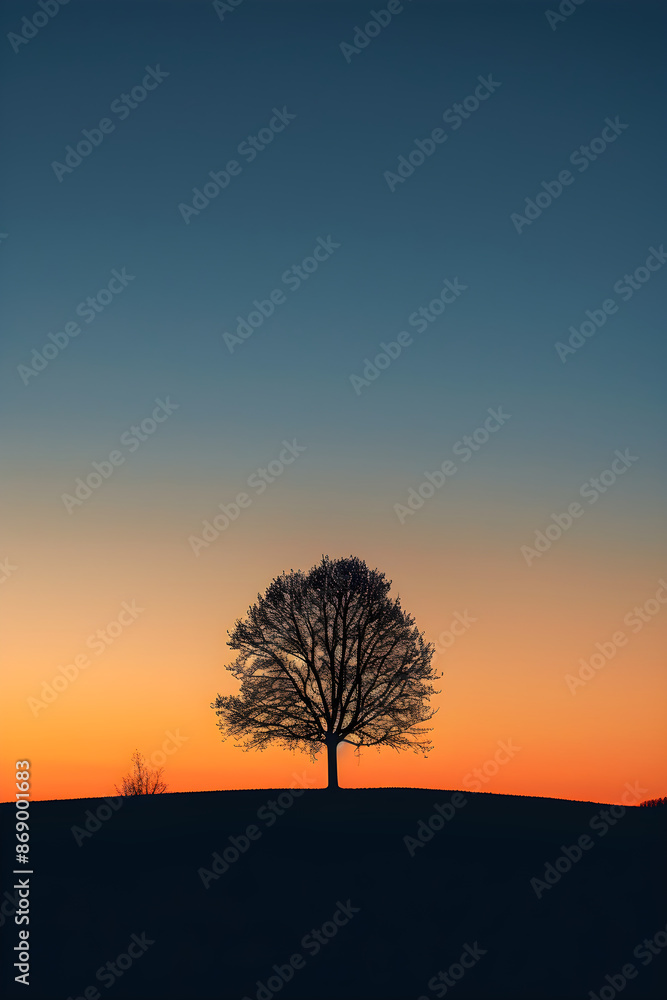 Solitary Serenity: A Reflection of Nature’s Calm During Twilight Solitary Serenity: A Reflection of Nature’s Calm During Twilight