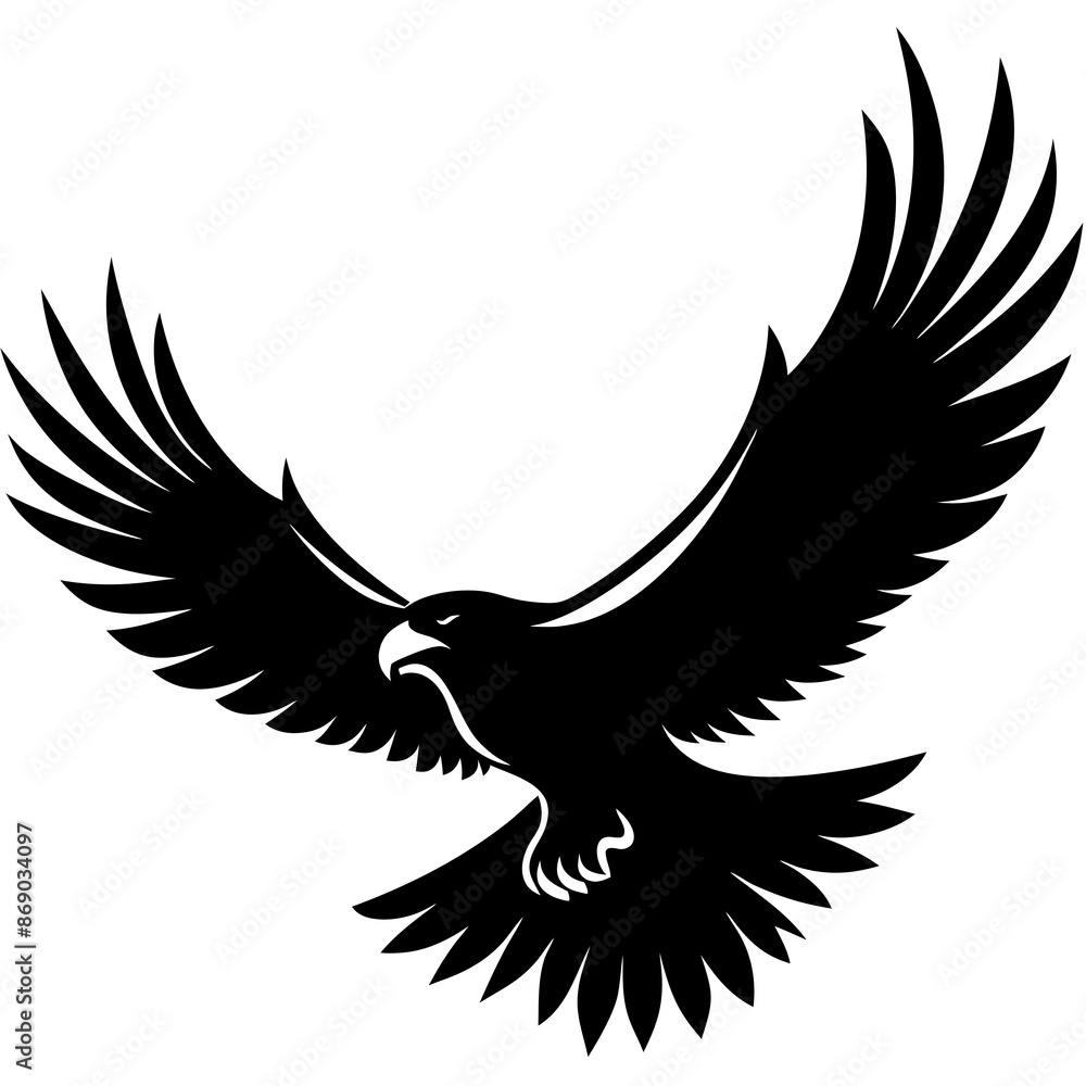 Obraz premium eagle in flight