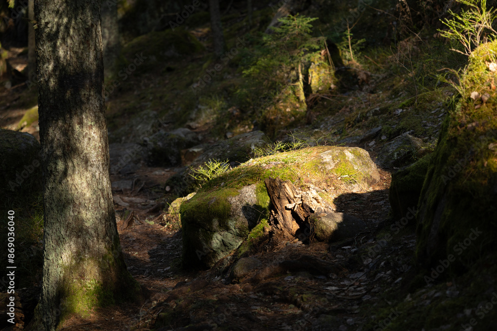Beautiful huge boulders in the Tividen National Park in Sweden. Natural springtime scenery of forest in Scandinavia. Beautiful huge boulders in the Tividen National Park in Sweden. Natural springtime scenery of forest in Scandinavia.
