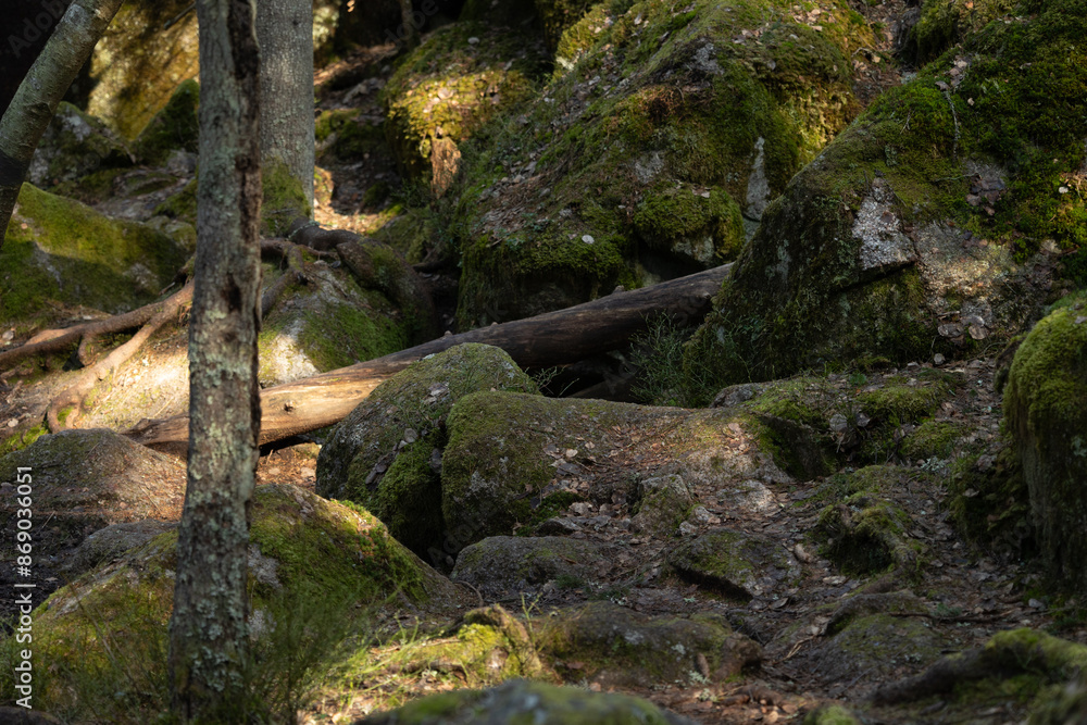 Beautiful huge boulders in the Tividen National Park in Sweden. Natural springtime scenery of forest in Scandinavia. Beautiful huge boulders in the Tividen National Park in Sweden. Natural springtime scenery of forest in Scandinavia.