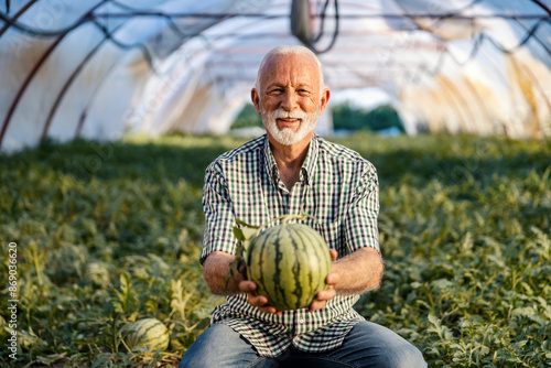 Canvas Print Portrait of happy senior agronomist at hothouse showing watermelon at the camera