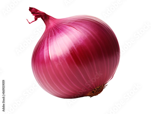 Obraz na płótnie a red onion on a white background w salonie