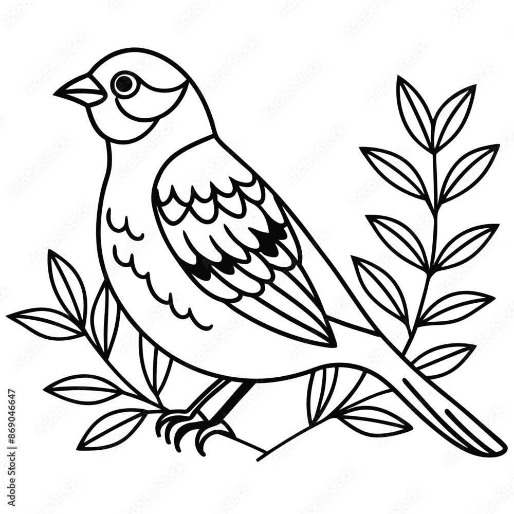 little realistic sparrow bird vector illustration. little realistic sparrow bird vector illustration.