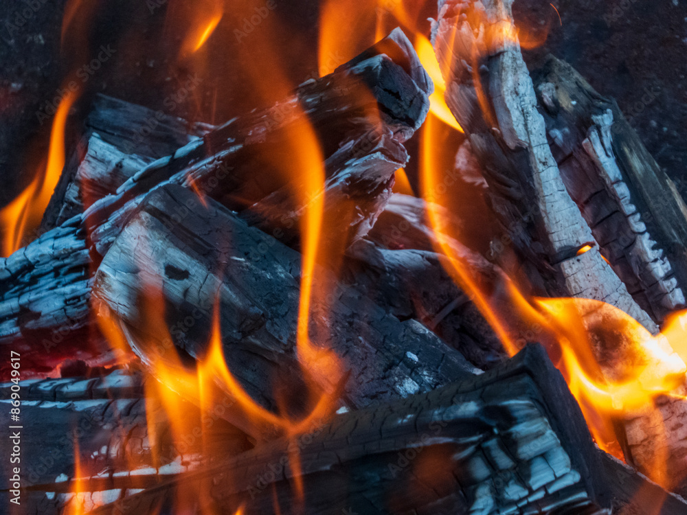 Fototapeta premium Wood in the flames of cozy fireplace