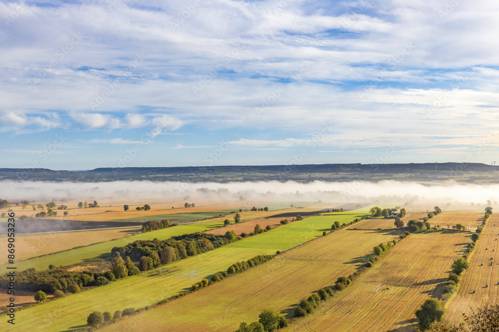 Naklejka premium Tree lined fields with fog in a beautiful landscape view
