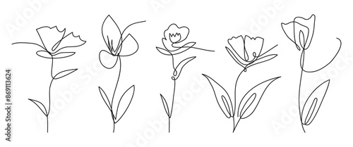 Single line art vector flower illustration collection.