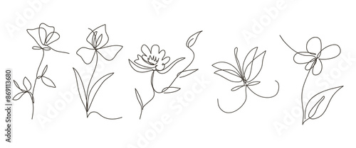 Single line art vector flower illustration, outline set of blooming flowers