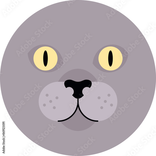 British shorthair cat head icon